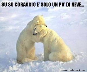 animali_divertenti_001
