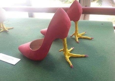 scarpe da gallina