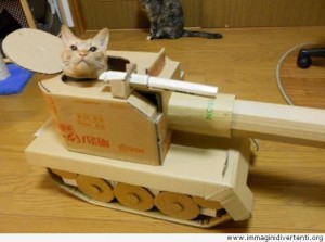 gatto guerrigliero